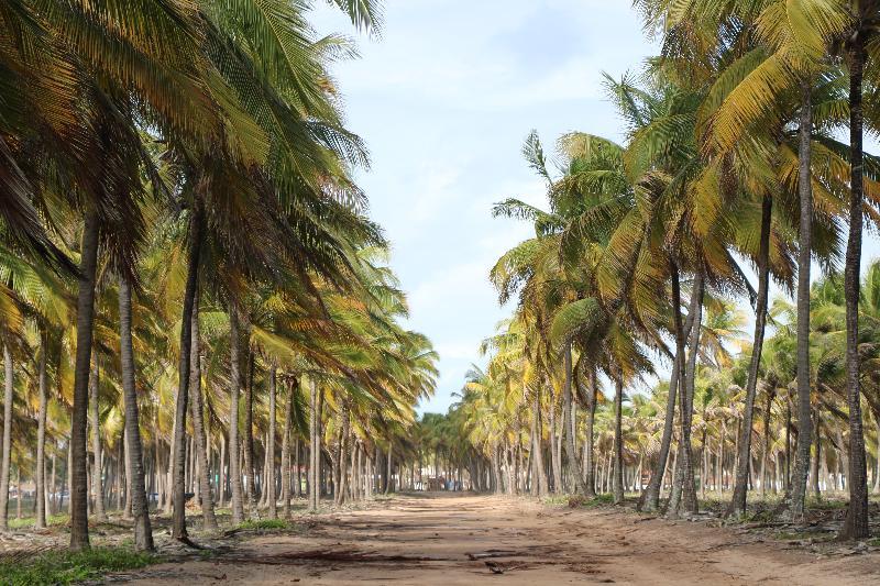 Pousada Quatro Estacoes Pôrto das Galinhas Dış mekan fotoğraf